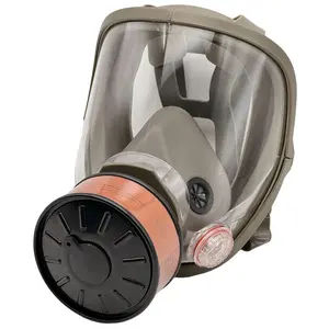 Reusable Anti-Fog Toxic Gas Mask with Filter, Full Face Protection for Painting, Chemicals, DIY, Woodworking, Construction, Sanding, Respirator Mask