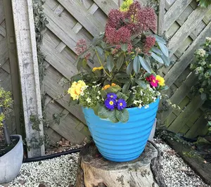 Jennings Set of 2 XL Twist 14" Planters