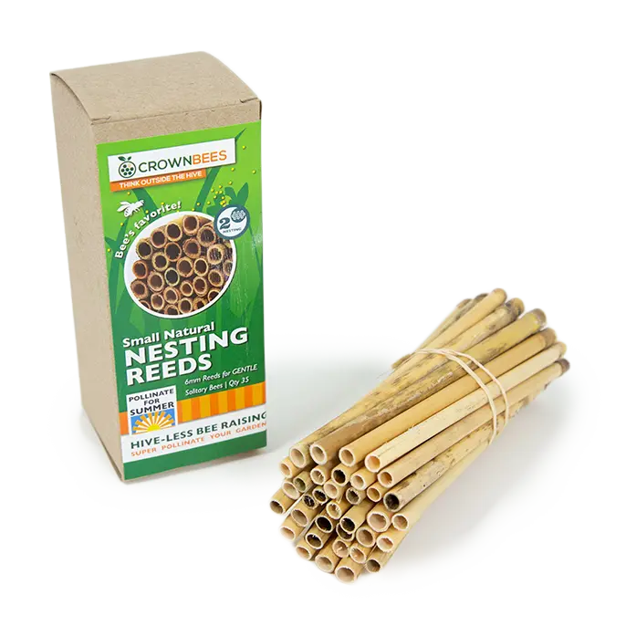 Summer Natural Reeds for Leafcutter Bees - 6mm