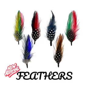 NEW Feather Pack & 1 Single Feather Pluma Classic Stetson Lowrider Derby Fedora Pachuco Cowboy Hat Hatband - 3 Inch, 4 Inch Hat Accessories