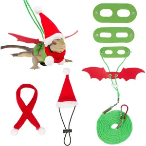 Christmas Outfit and Leash