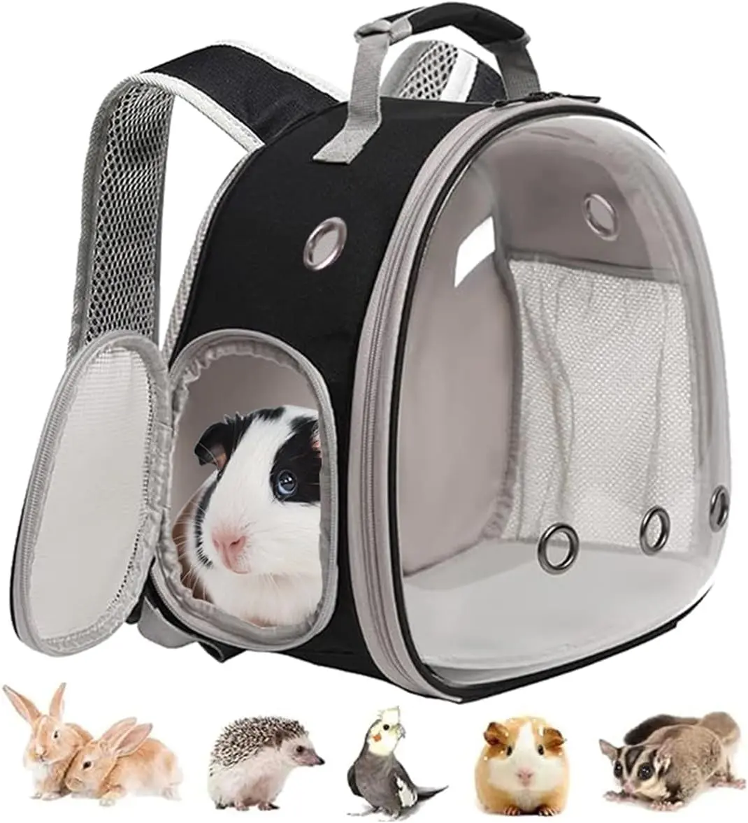 Guinea Pig Backpack, Space Capsule Bubble Window Small  Backpack for Guinea Pig, Bird Bunny