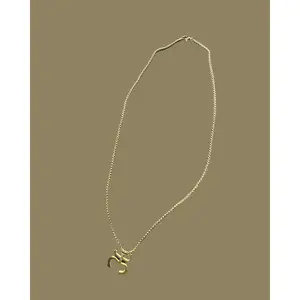Coqui Taino en acero inoxidable (Cadena con Broche)