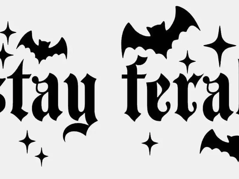 Funny Universal "Bold & Untamed Stay Feral" Vinyl Car Sticker - 6x3 in, Water Resistant, Long Wearing, Unapologetically Free, All Seasons, Weatherproof, Permanent Adhesive, Durable, Bubble-Free Finish for Cars, Laptops, Water Bottles, Sticker Deco, Attitu