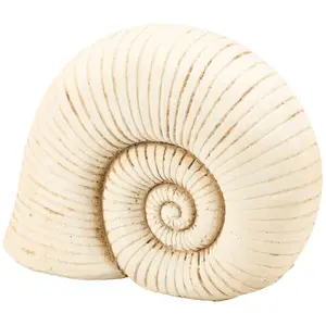 PBK - Nautilus Shell Sitter