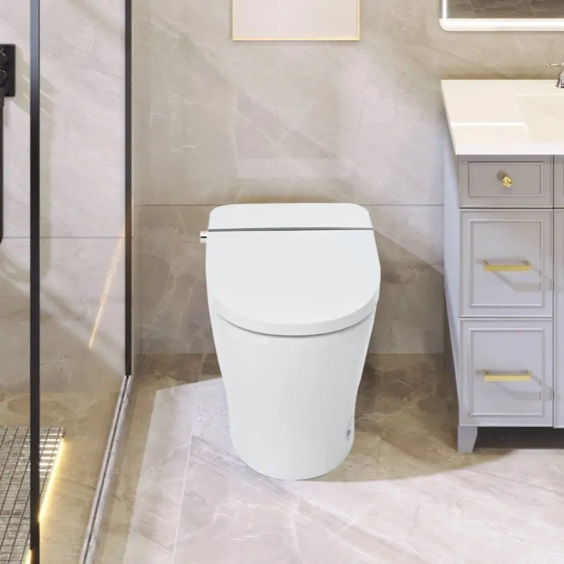 ExBrite Dual Flush Toilet with Bidet, Self-Cleaning Nozzle, Knob Control, Power Outage Flushing, Soft Close