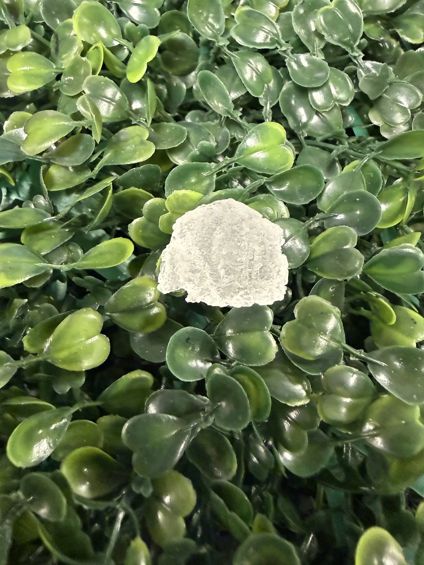 Raw White Moldavite Calcite Crystal 5.56g - Gentle Translucent Specimen for Spirituality, Meditation & Energy Amplification, Amplifies Energy Work, Awakens Higher Consciousness, Emotional Balance, Energy Healing