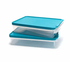 LocknLock Set of 2 Freezer Fit Rectangle Storage Containers