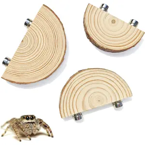 3 Pack Jumping Spider Enclosure Climbing Platforms, Magnetic Jumping Spider Wooden Ledge Ladder, Jumping Spider Accessories, Habitat Decor for Small Light Critters JUMPING SPIDER ENCLOSURE WITH LADDER