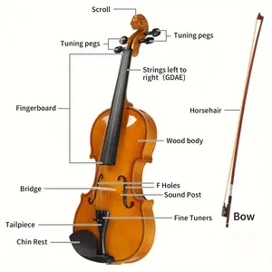 Full Size 4/4 Violin Set for Adults Beginners Students with Hard Case,Violin Bow,Shoulder Rest,Rosin,Extra Strings and Sordine