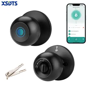 XSDTS Fingerprint Door Lock with Anti-theft Function,Biometric Lock Great for Room, Garage, Apartment, Room Accessories.Intelligent Door Handle with App Smart Lock type-c port emergency