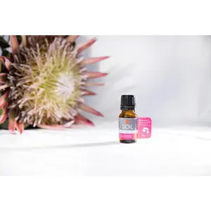 Organic Rose Geranium Essential Oil (Pelargoneum Graveolens) 10ml