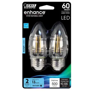Feit Electric 60 Watt Replacement Daylight (5000K) E26 Clear B10 Dimmable LED Light Bulb 2 Pack