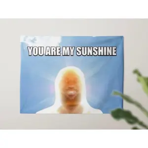You Are My Sunshine LeBron Meme Polyester Tapestry - Custom Colorful Tapestry, Decor Accessories, Room Decorations for Teens, Funny Apartment Decorating Gift, Dorm Wall Hanging