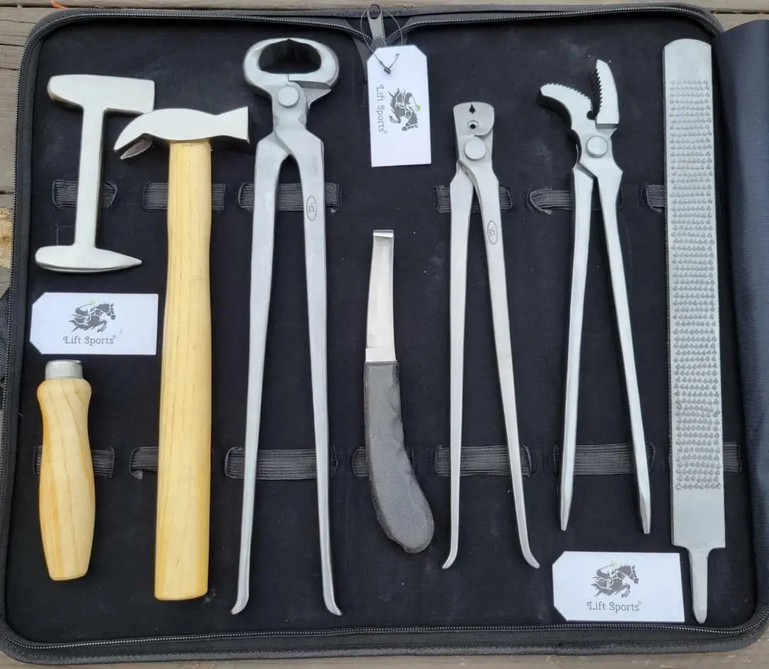 Heavy Duty Professional Horse Care Farrier Tool Kit Hoof Clincher Nipper RASP