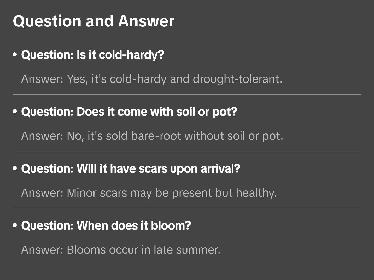 Silver Torch Cactus - Cleistocactus Strausii