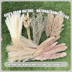 100Pcs Pampas Grass Boho Home Decor 17 inch Natural Dried Flowers-Pampas Grass Contains Bunny Tails White Pampas Brown Pampas.Boho Decor for Farmhouse Wedding Boho Wall Bathroom Office Kitchen
