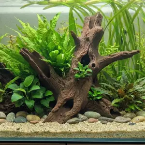 Aquarium Terrarium Driftwood Tree Stump Root