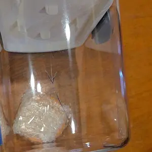 Product Review of Progressive ProKeeper 6-Piece Baker's Storage Set Container Kitchen from K**y B**k