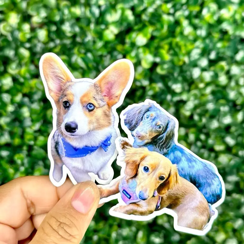 2 Photo Sticker size 2.5in (Customize Your Own Image)