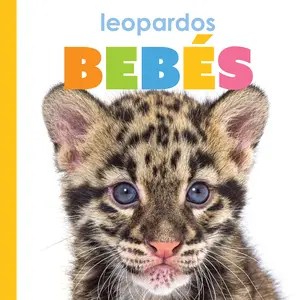 Leopardos bebés