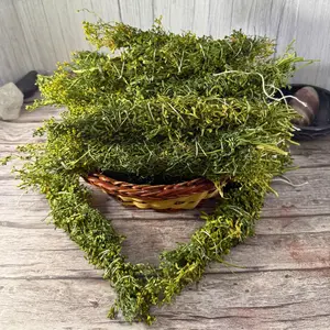 Ruta Graveolens Smudge Stick (Ruda) – 10-inch Handmade Rue Bundle for Protection & Cleansing – Natural, Pesticide-Free, Ritual Herb