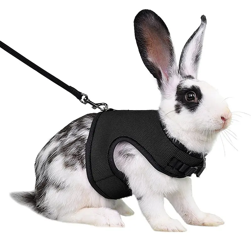 Adjustable Rabbit Harness & Leash Set, Soft Breathable Pet Vest for Rabbits, Guinea Pigs, Squirrels & Small Pets, Comfortable Outdoor Walking Gear