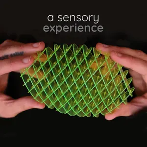 Flexible 3D Sensory Head Toy, Upgraded Worm Toy for Stress Relief Fidget & Anxiety Reduction, Ideal Gift for Play School Work Settings
