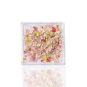 Petal Whispers – Real Dried Flowers for Nails Petal Whispers – Real Dried Flowers for Nails
