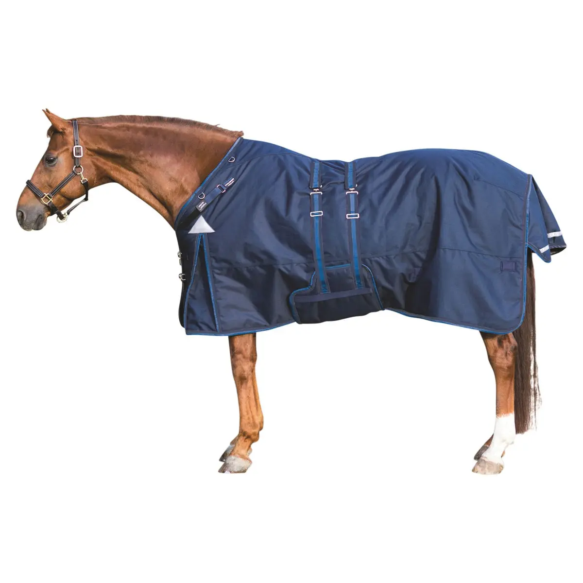 ARMORFlex Challenger II VTEK Equine Turnout Blanket - 220g Medium Weight, Wither Relief, Adjusta-Fit Bellyband, Horse Supplies for Protection