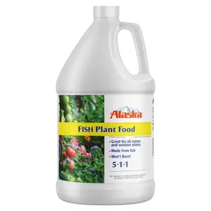 128 Oz. (1 Gal.) Organic Gardening Liquid Fish Emulsion Plant Food Fertilizer Concentrate 5-1-1 | Live Indoor Plant in Nursery Pot | Beginner | Easy Care | Home Office Decor Gift