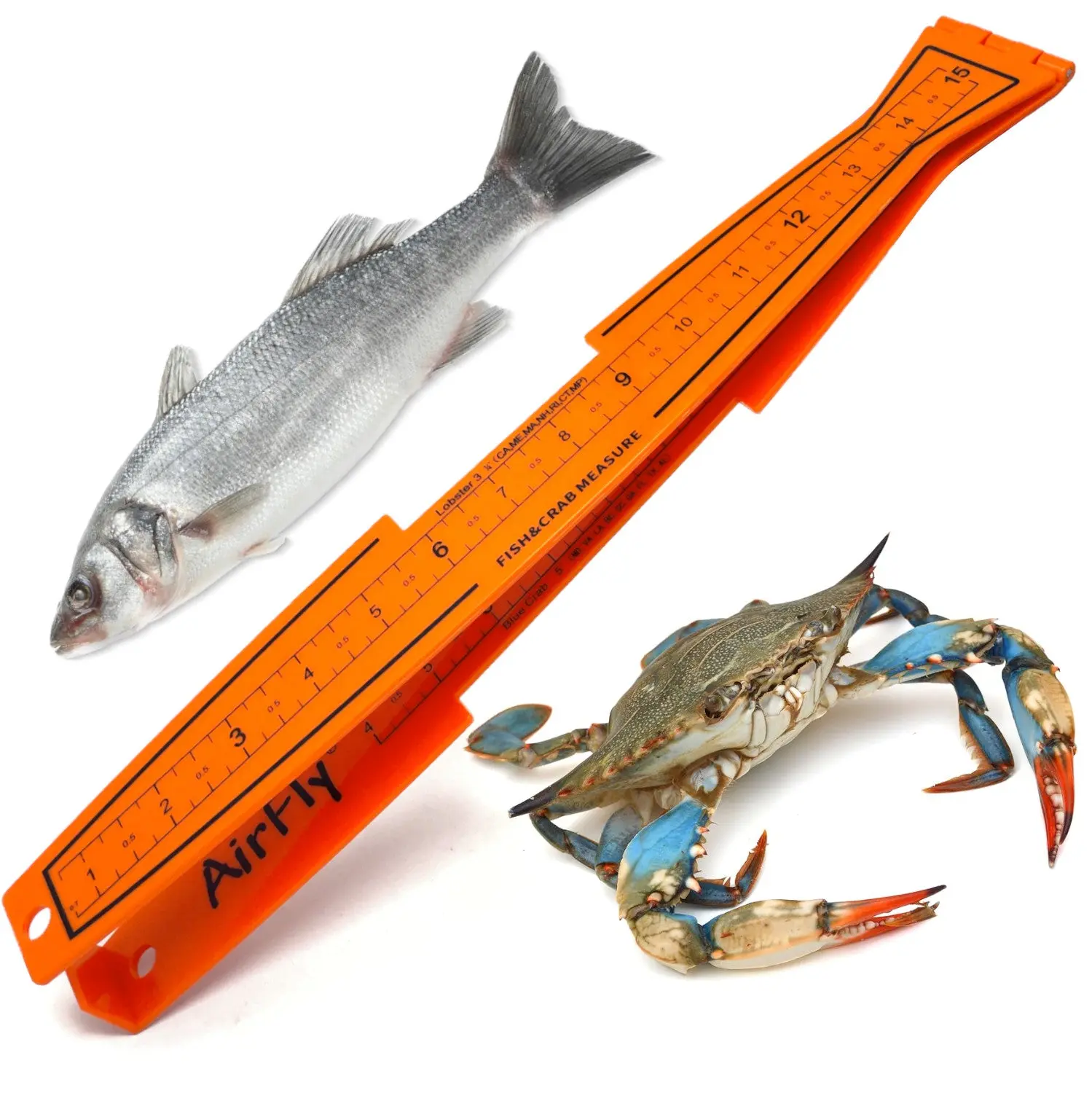 AirFly Bold Bi-Fold Fish Measuring Board - 32in Easy-to-Read Inch Ruler with 3.25in,5in,5.75in Gauges - Crabbing,Fishing Gear - Dungeness Blue Crab,Lobster - Boat Use - Orange - Designed in USA - Beginners & Pros - State Regulation Compliant, Bold, Easy-T