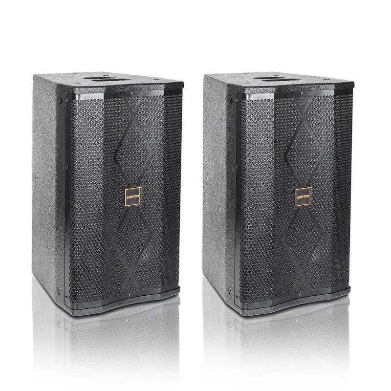 Ampyon LS-10 Professional Karaoke Speaker, Audio Device with Metal Plug, Wired Connection for Home Entertainment, Durable