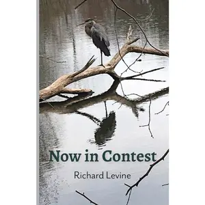 USED-Now in Contest by Levine, Richard (Paperback)