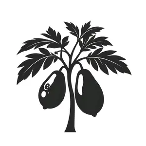 Dr.Grouper's 25 Qt Low Bearing Papaya Seeds for Gardening & Planting - Perfect for Enthusiasts & Beginners