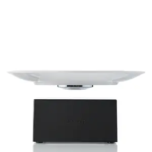 Levitating Plate