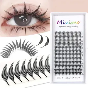 240pcs/120pcs/96pcs Fairy Eyelashes Extension, Soft Natural Feather Tip Design, Anime Comic Style, Dramatic Volume Eyelash, Curled DD Curl, 0.07mm Thickness, Diy Eyelash Extensions, Longer Looking Eyelashes