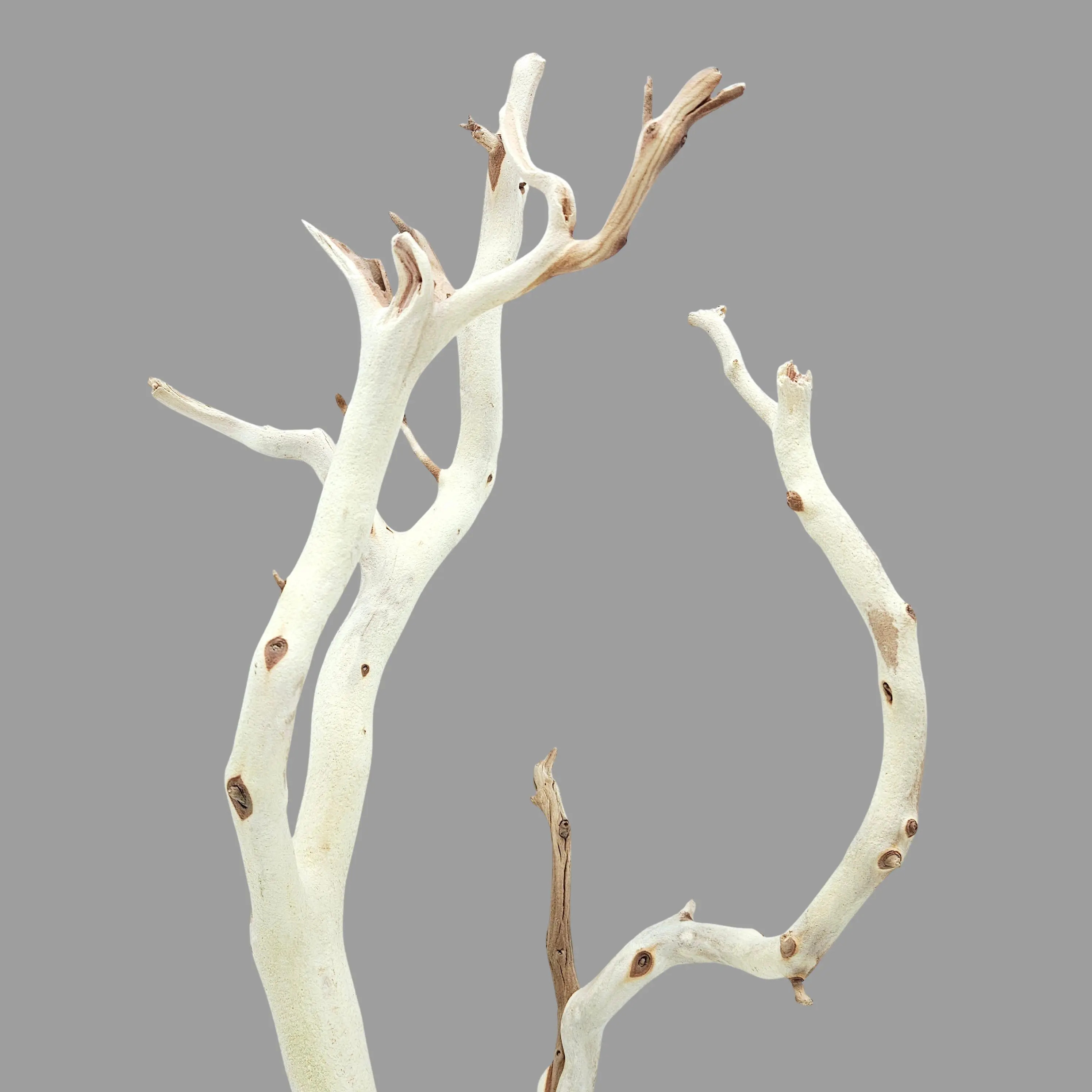 Lifegard Aquatics Sandblasted Manzanita Ghost Driftwood - Sandblasted Finish Natural Wood Aquarium Aquascape Decor, Minimalist Safe LED Pet Fish & Aquatic Supplies (Medium 18"-20"/Large 24"-26")