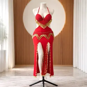 Women's Elegant Style Ruby Mirage Belly Dance Clothes, Women's Special Clothing Costume for Performances