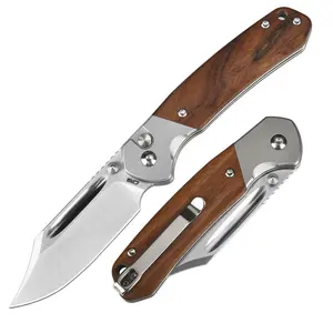 CJRB Bowie Pyrite Pocket Tool Knife with 3.15'' AR-RPM9 Steel Blade, Hunting Knife with Wood Handle for Camping and FathersDayGift Edc Survival Tool Outdoor Tools fathersdaygift