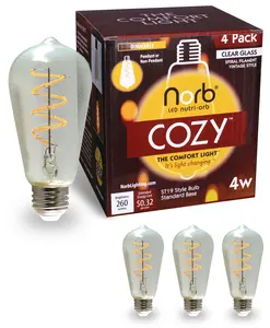 Norb Cozy LED Edison Bulb – Warm, Relaxing Light for Wellness (ST19 4 Pack)