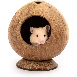 Coconut Hut Hamster House Bed for Gerbils Mice Small Animal Cage Habitat Decor HAMSTER WOODEN ACTIVITY PLAYGROUND Hamster Wooden Activity Playground