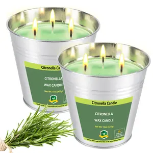 2 Pack 15 oz Triple Wick Citronella Candles in Large Jar, 200 Hours Total Burn Time, Outdoor & Indoor Decor, Gift Candle Set for Patio, Garden & Home Decoration