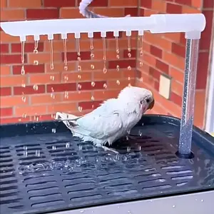 Automatic Bird Bath Basin with Pump, Parrot Bathtub Shower Box, USB & Power Plug, Water Circulation Controller for Tiger Parrots, Grooming, Bird Supplies