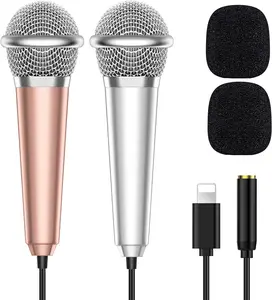 2 count Mini Microphone for  iPad Small ASMR  Microphone for Video Recording, Singing, Vlogging, YouTube Two Mics  and Rose Golden