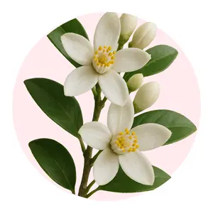 Neroli Solid Fragrance Pod - 2g pod, Non-Greasy formula, Vegan, Cruelty Free, Travel friendly