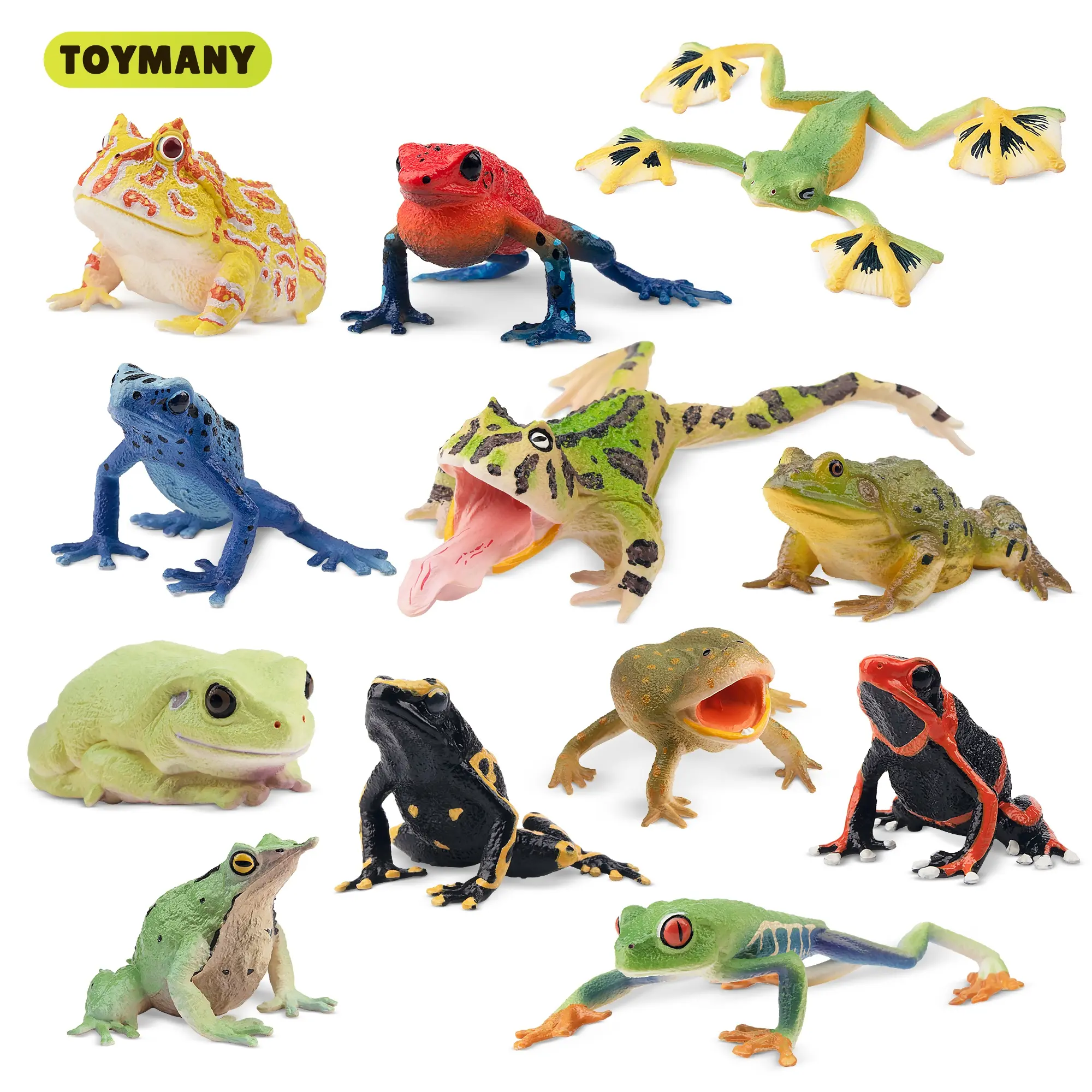 TOYMANY 12Pcs High-Quality Durable PVC Poison Dart Frog Figures, Lehmann's Blue Collectible Action Toyset for Age 3+, PVC Figure Decor & Cake Topper, Action Figures