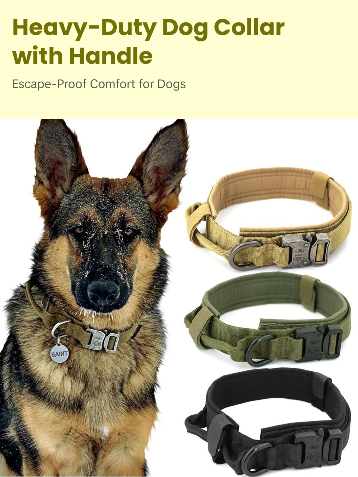 Heavy-Duty Dog Collar with Handle – Durable, Adjustable, Escape-Proof
