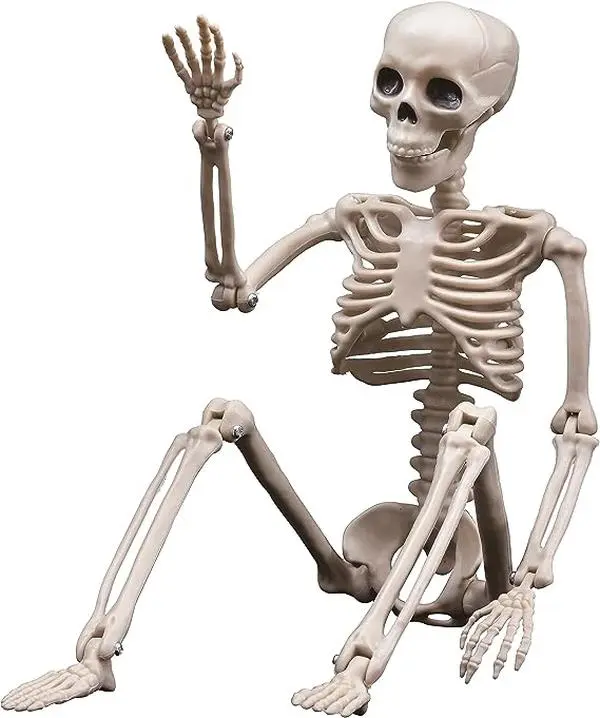 Halloween Skeleton Decorations, 2.95ft