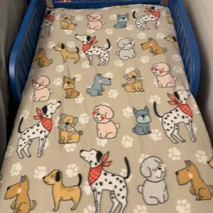 PAW Patrol Plastic Toddler Bed